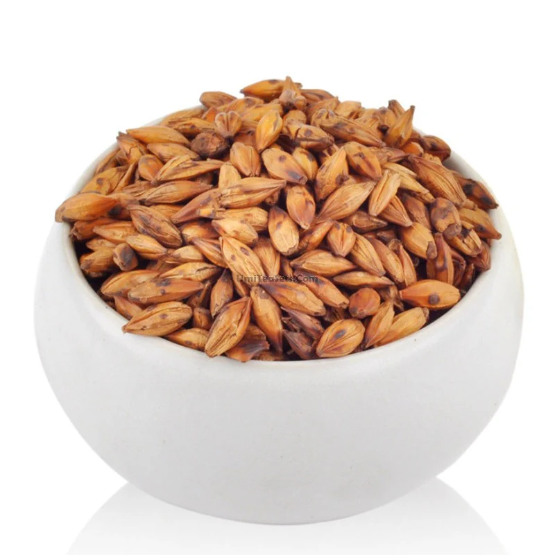 Barley Tea - Image 2