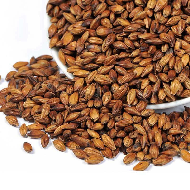 Barley Tea - Image 3