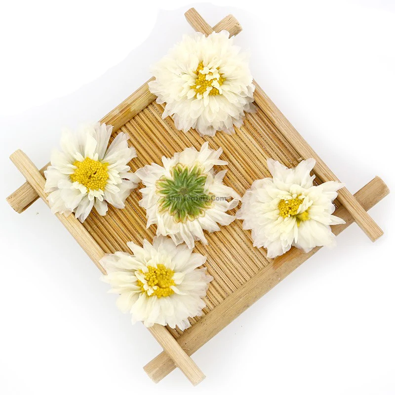 Chrysanthemum Tea - COLORFULTEA - Image 7