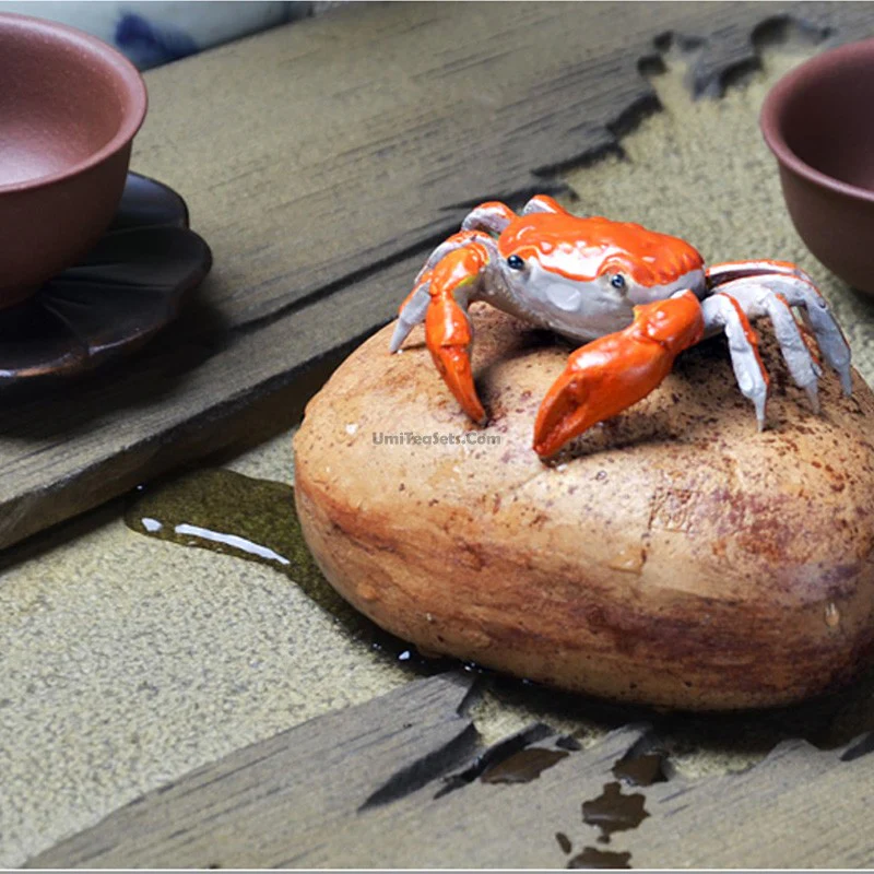 Color Changeable Crab Tea Pet - Image 2