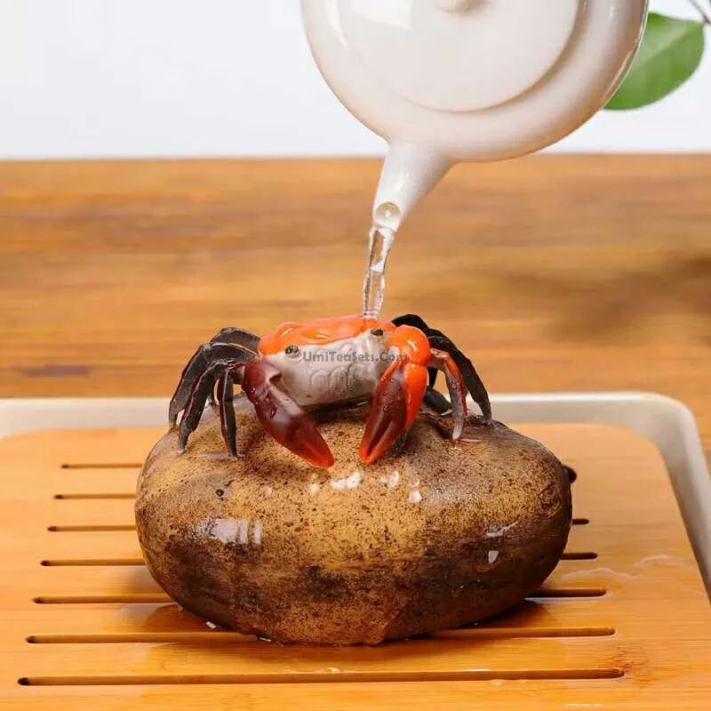 Color Changeable Crab Tea Pet - Image 4