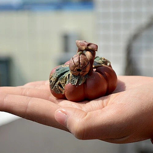 Hand-crafted Pumpkin Purple Clay Tea Pet - Image 4