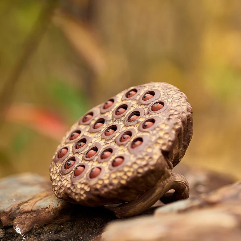 Handmade Purple Clay Lotus Seedpod Tea Pet - Image 3